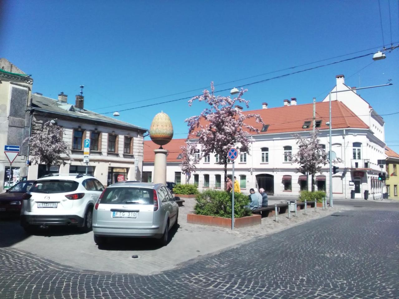 Like Home Apartments - 2 Rooms With Balcony VNO Extérieur photo